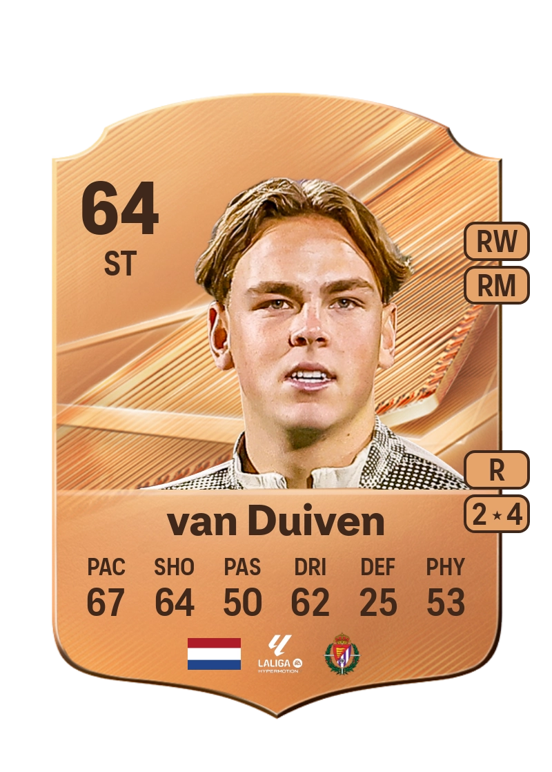 Robin van Duiven