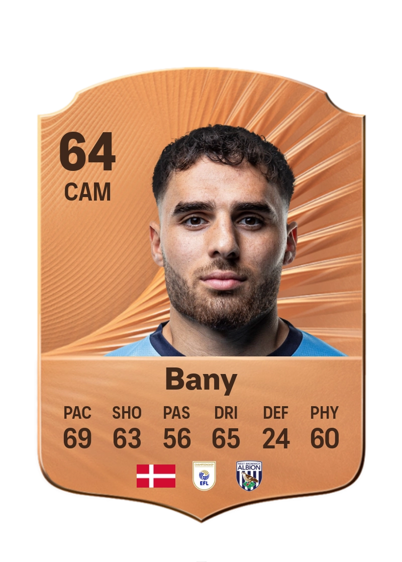 Tammer Bany