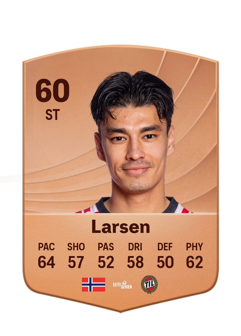 Heine Åsen Larsen