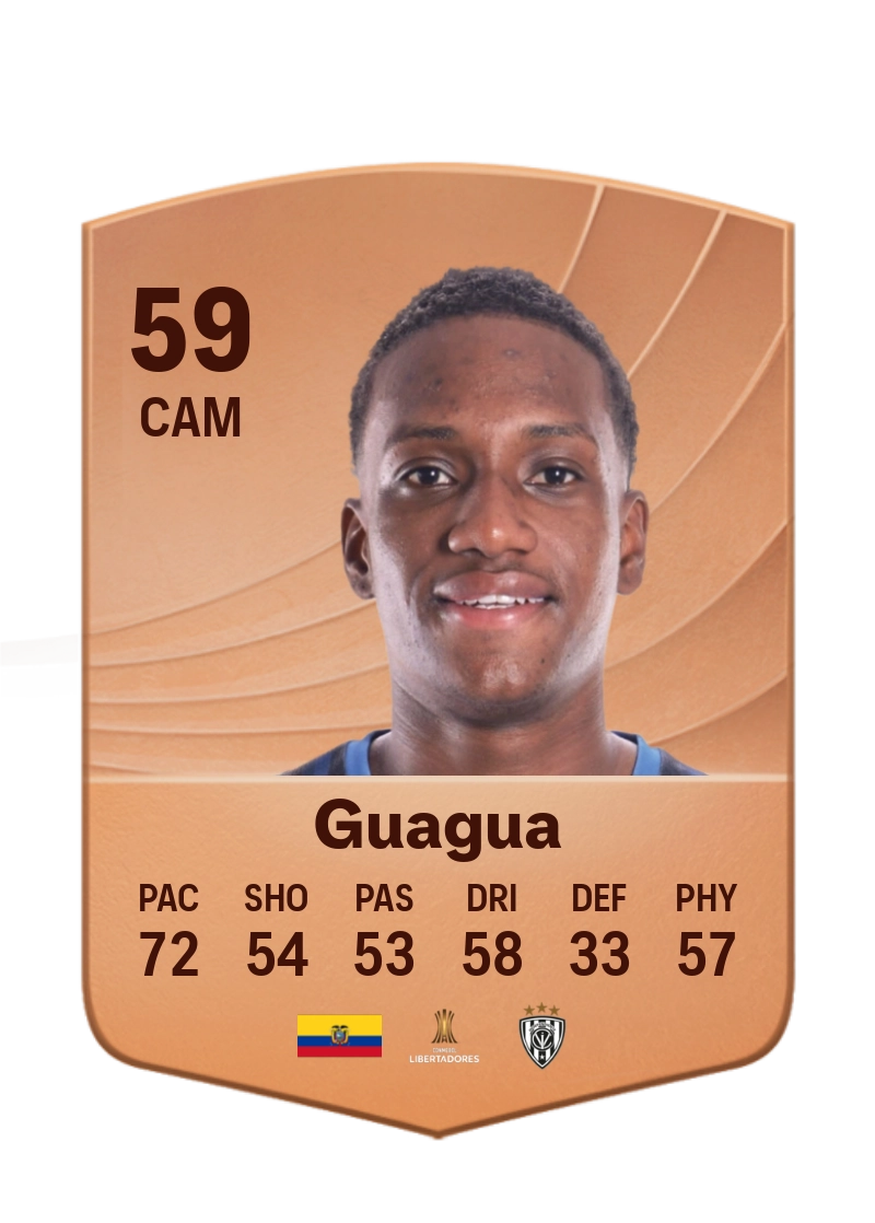 Darwin Guagua