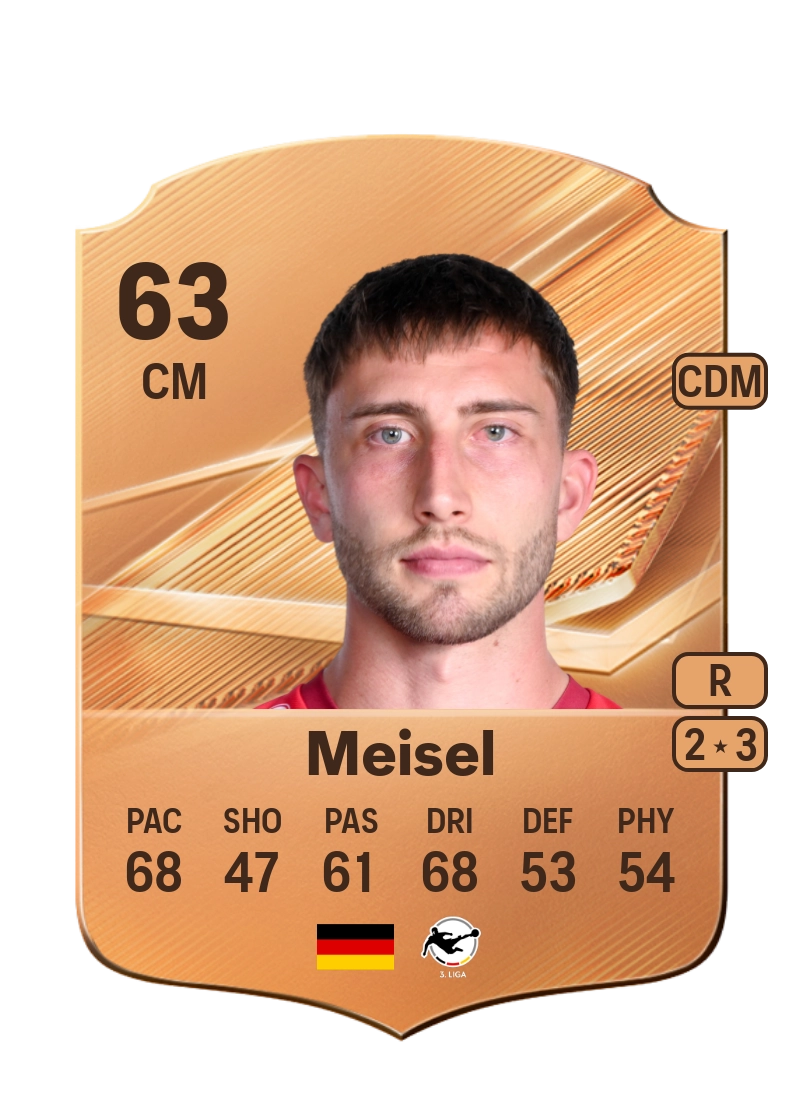 Dominik Meisel