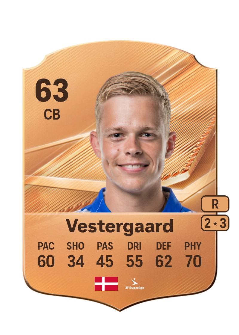 Christian Vestergaard