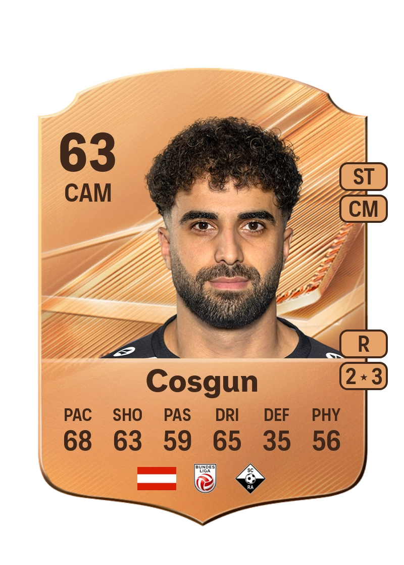 Denizcan Cosgun