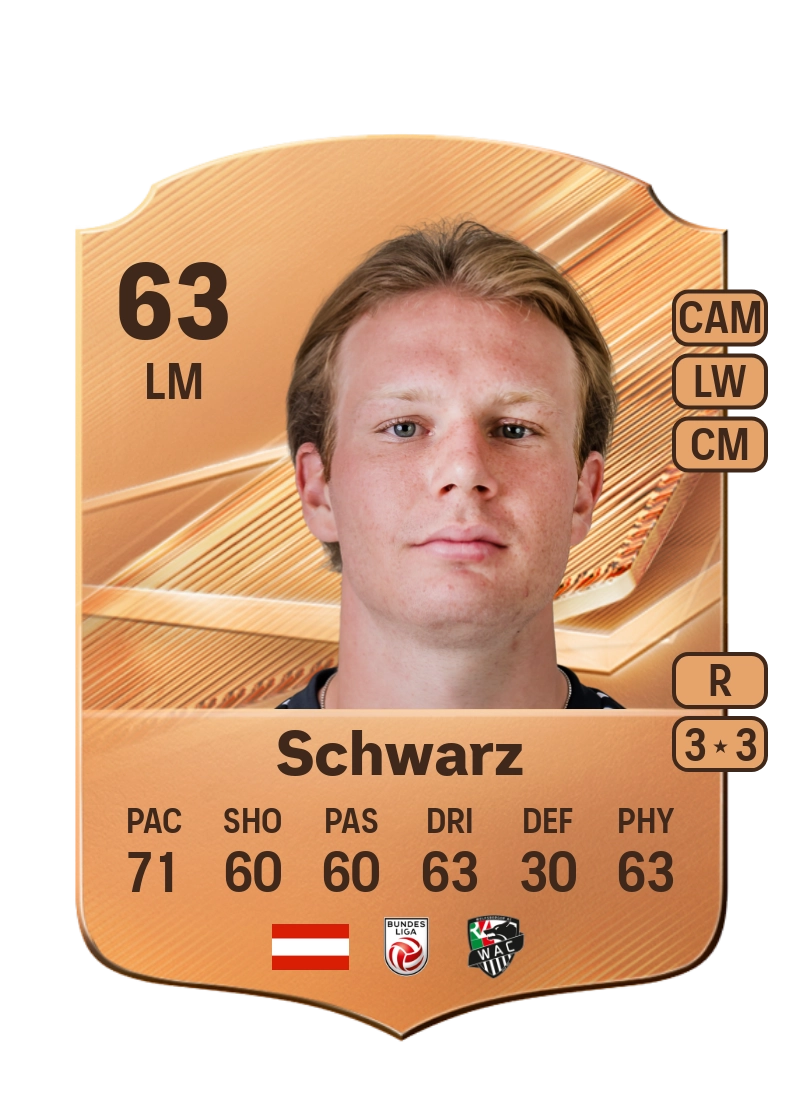 Aaron Sky Schwarz