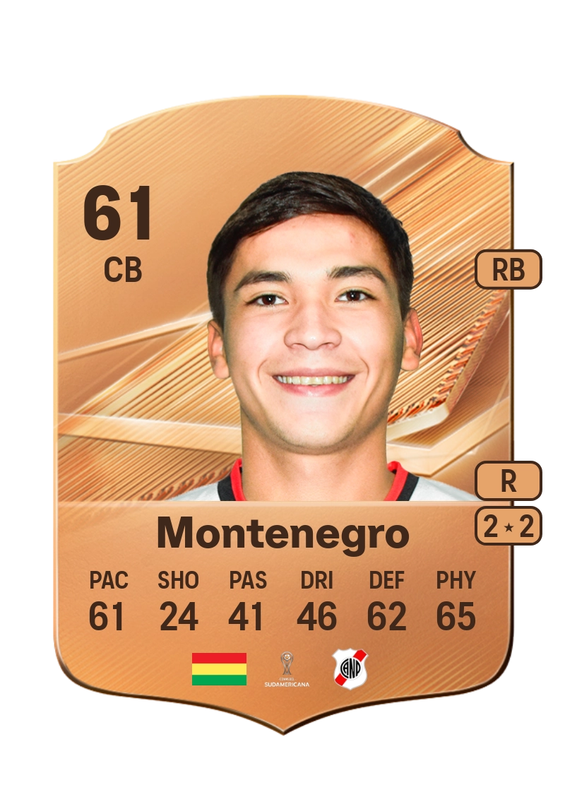 Leonardo Montenegro