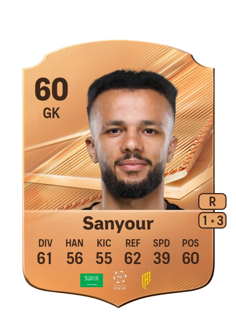 Meshari Sanyour