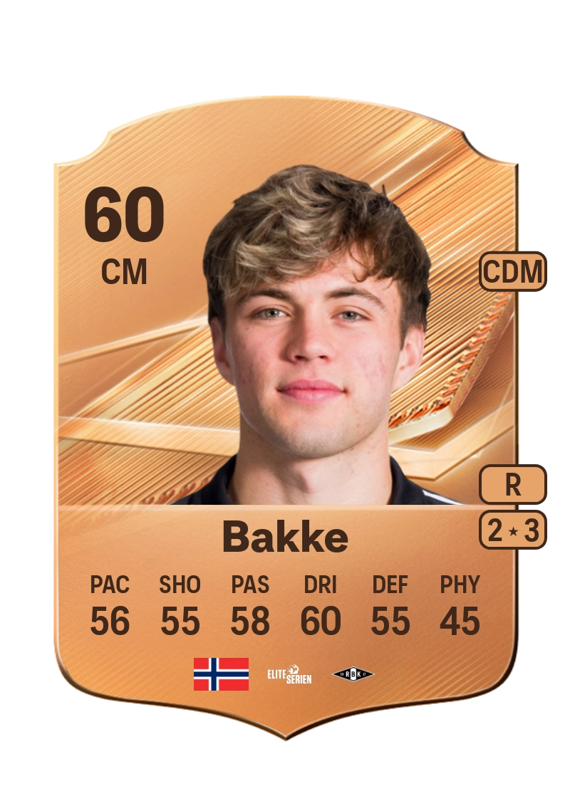 Johan Bakke