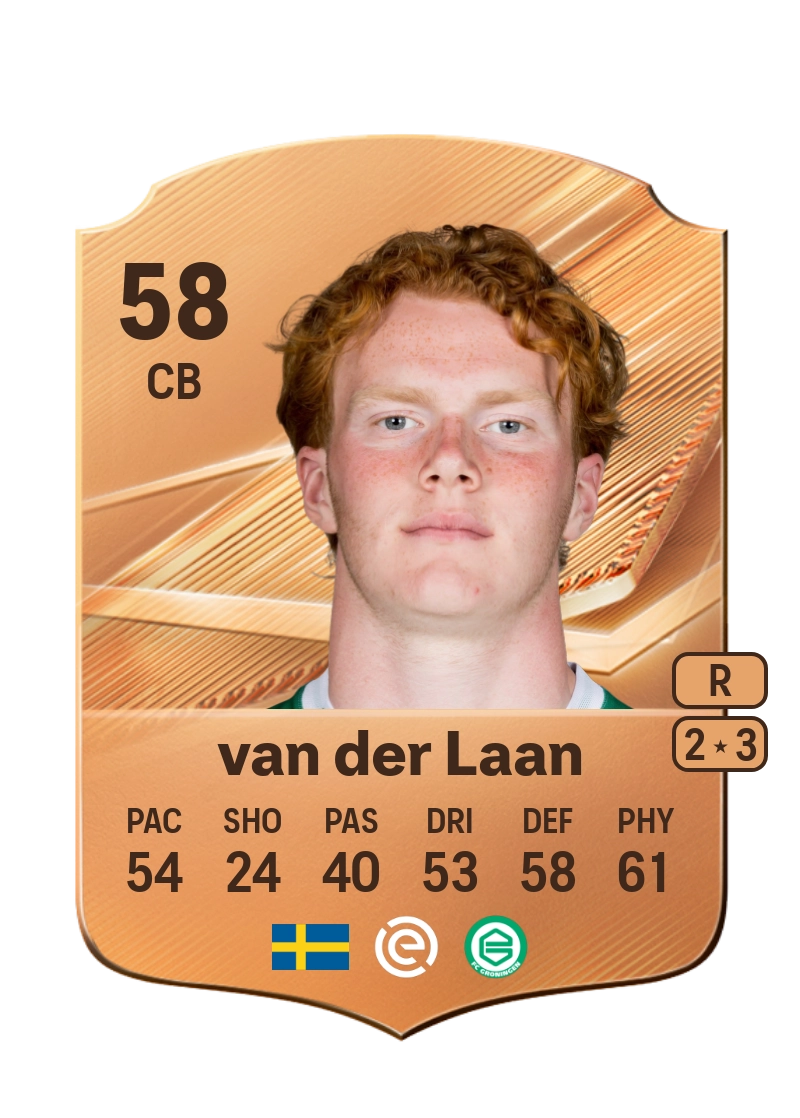Elvis van der Laan