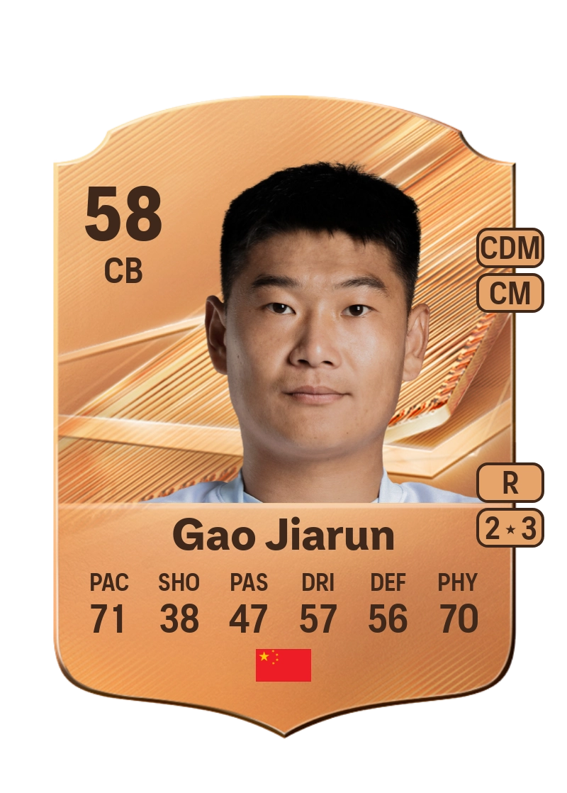 Gao Jiarun