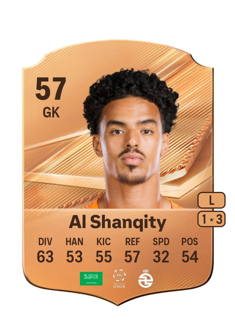 Hamed Al Shanqity