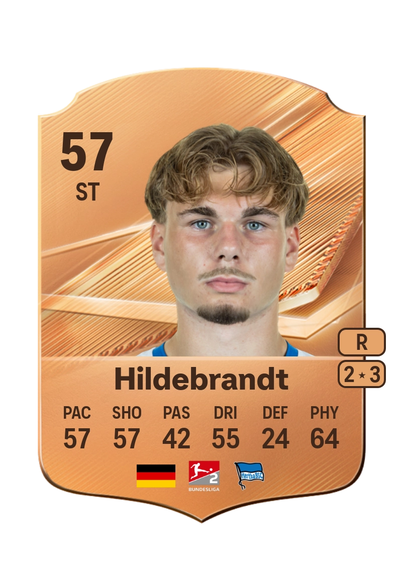 Niklas Hildebrandt