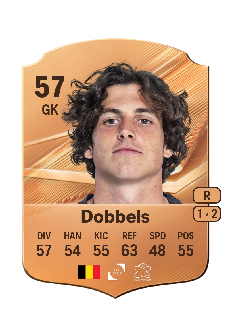 Arnaud Dobbels