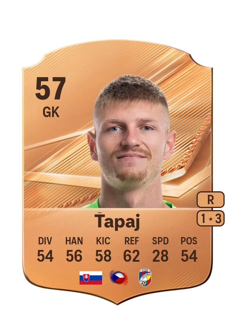 Dominik Ťapaj
