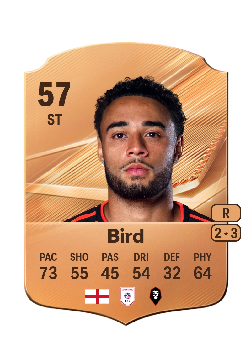 Jay Bird