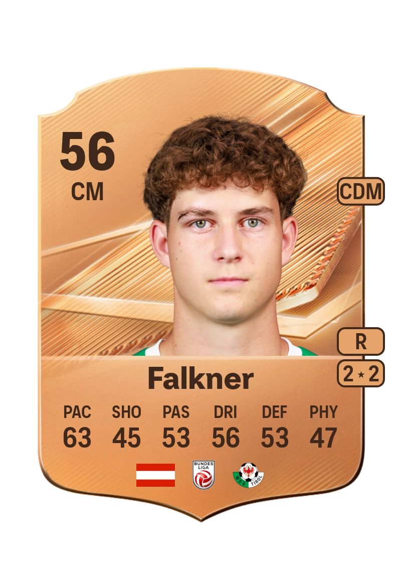 David Falkner