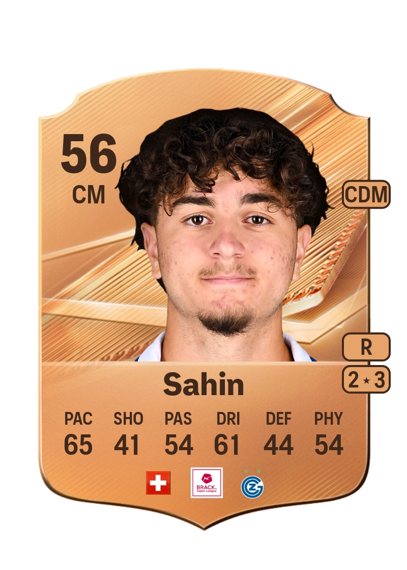 Denis Sahin