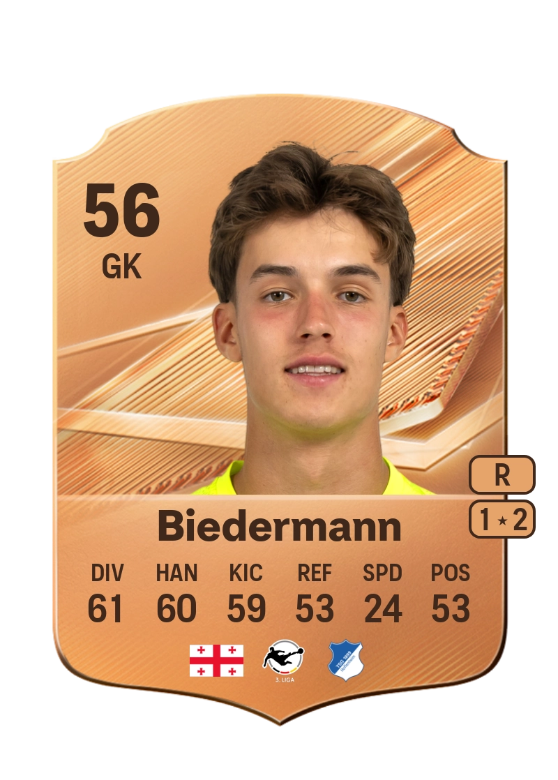 Nico Biedermann