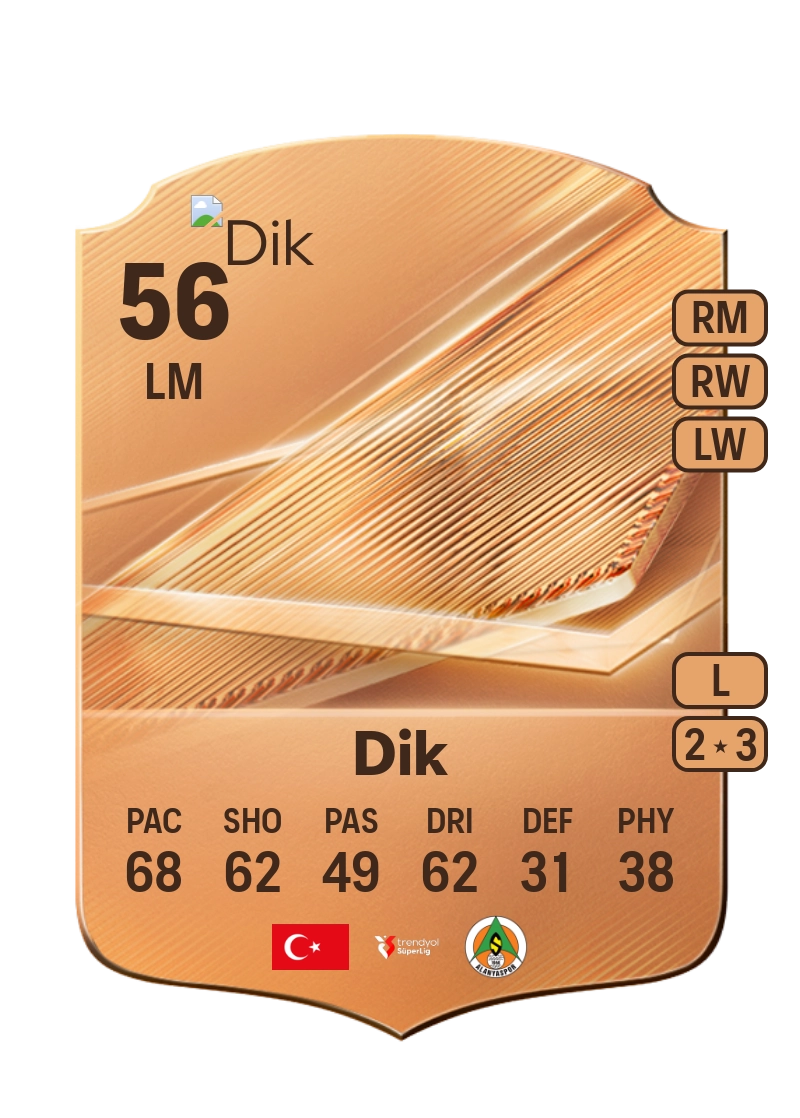 Şahin Dik