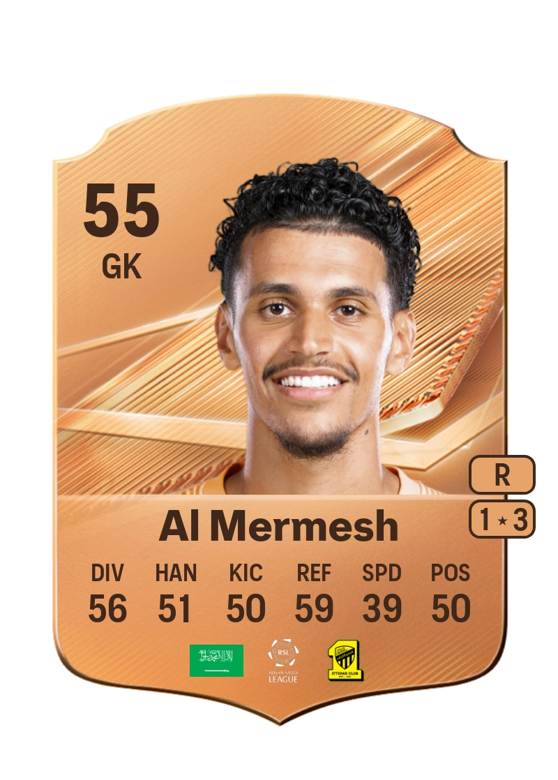 Osama Al Mermesh