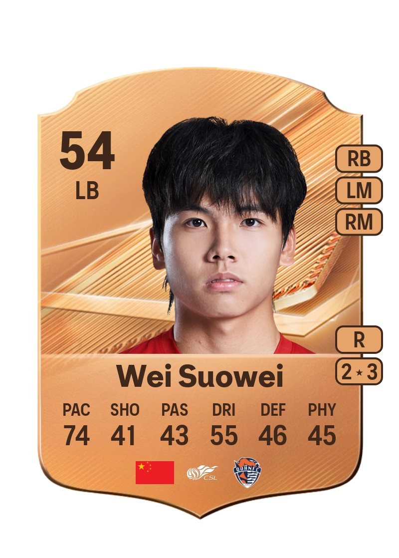 Wei Suowei