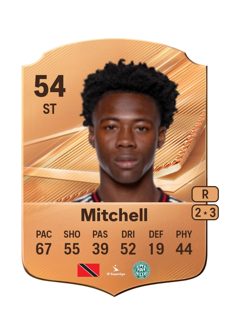 Roald Mitchell