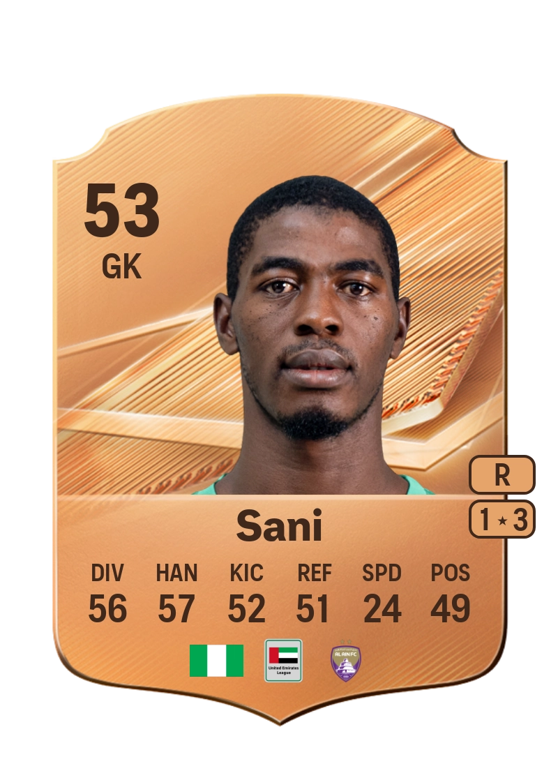 Hassan Sani