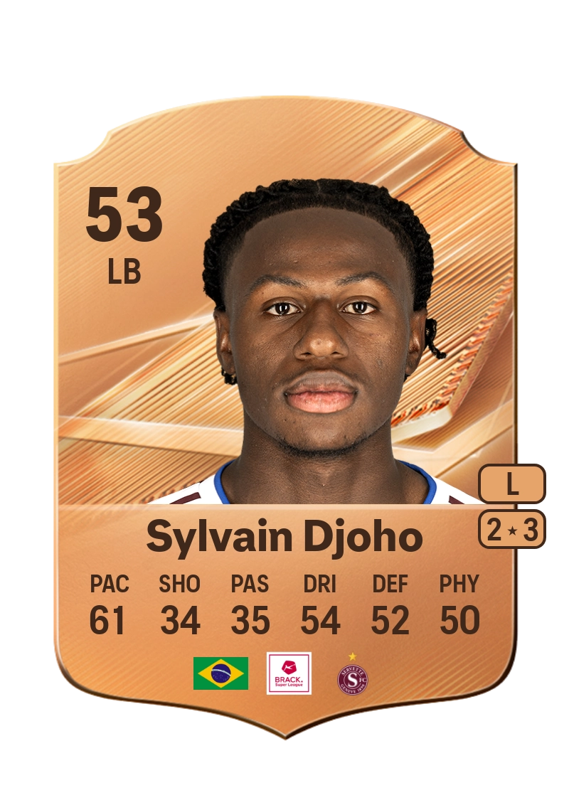 Sylvain Djoho