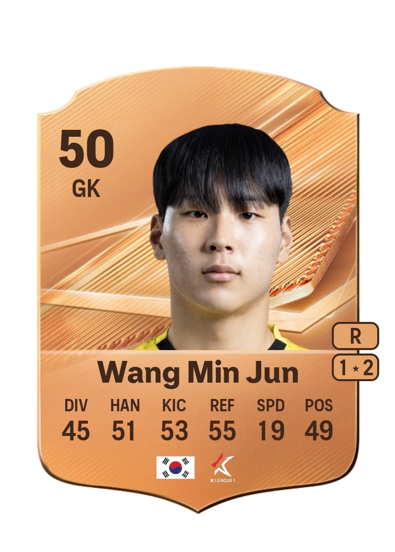 Wang Min Jun