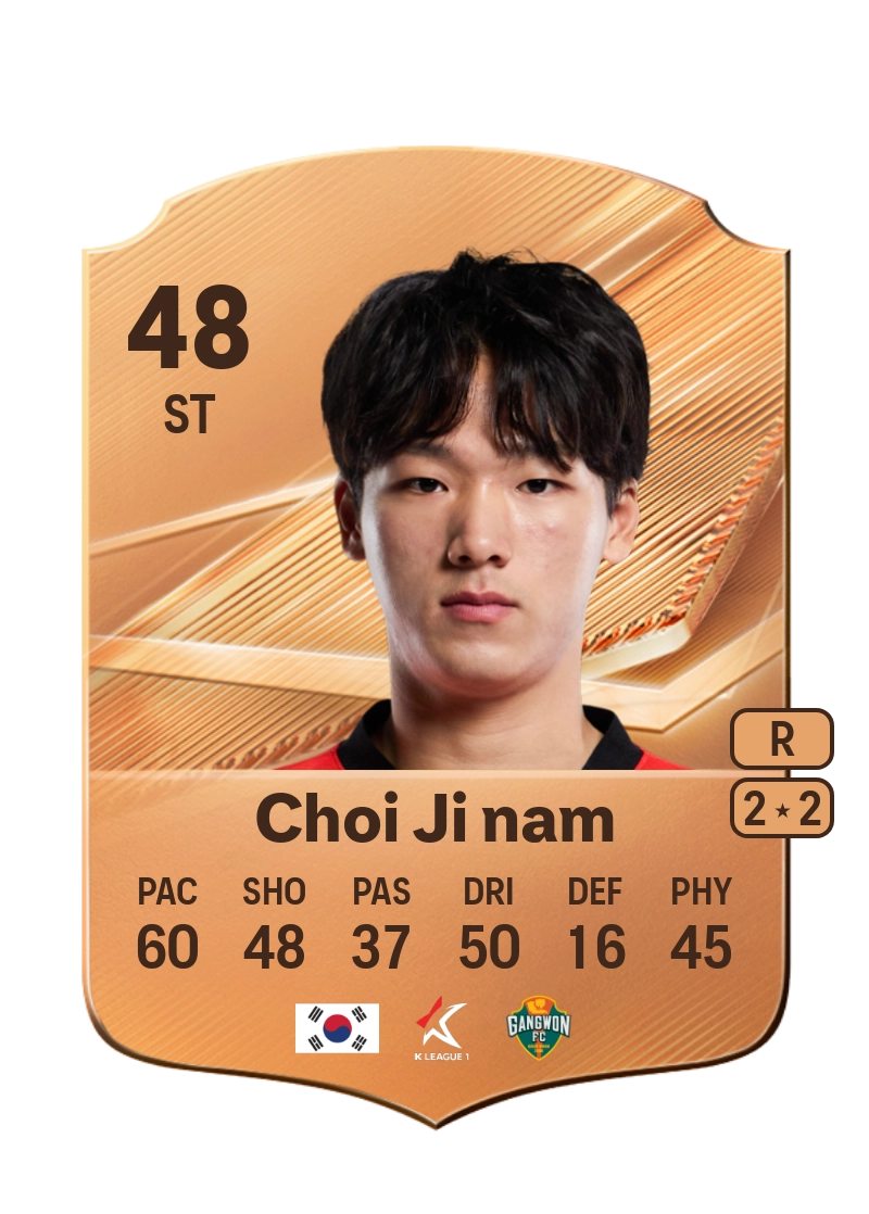 Choi Ji nam