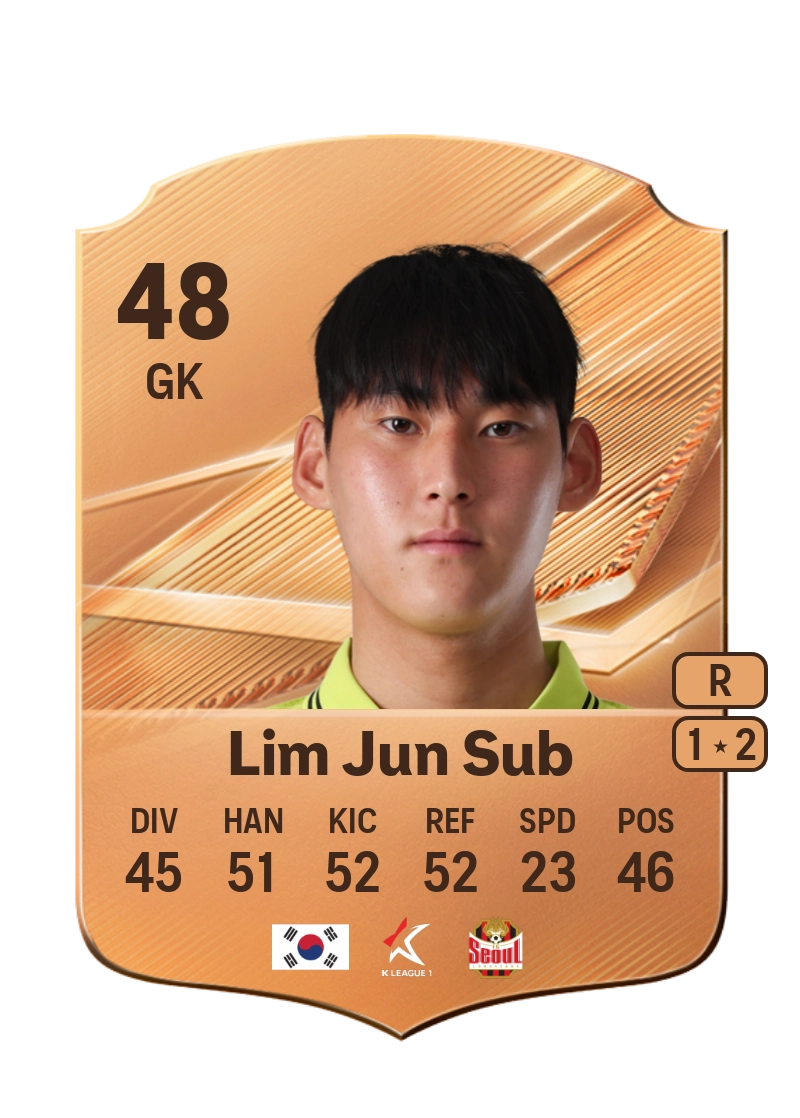 Lim Jun Sub